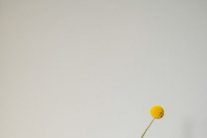 The Science of Decluttering: How Minimalism Boosts Focus and Mental Clarity