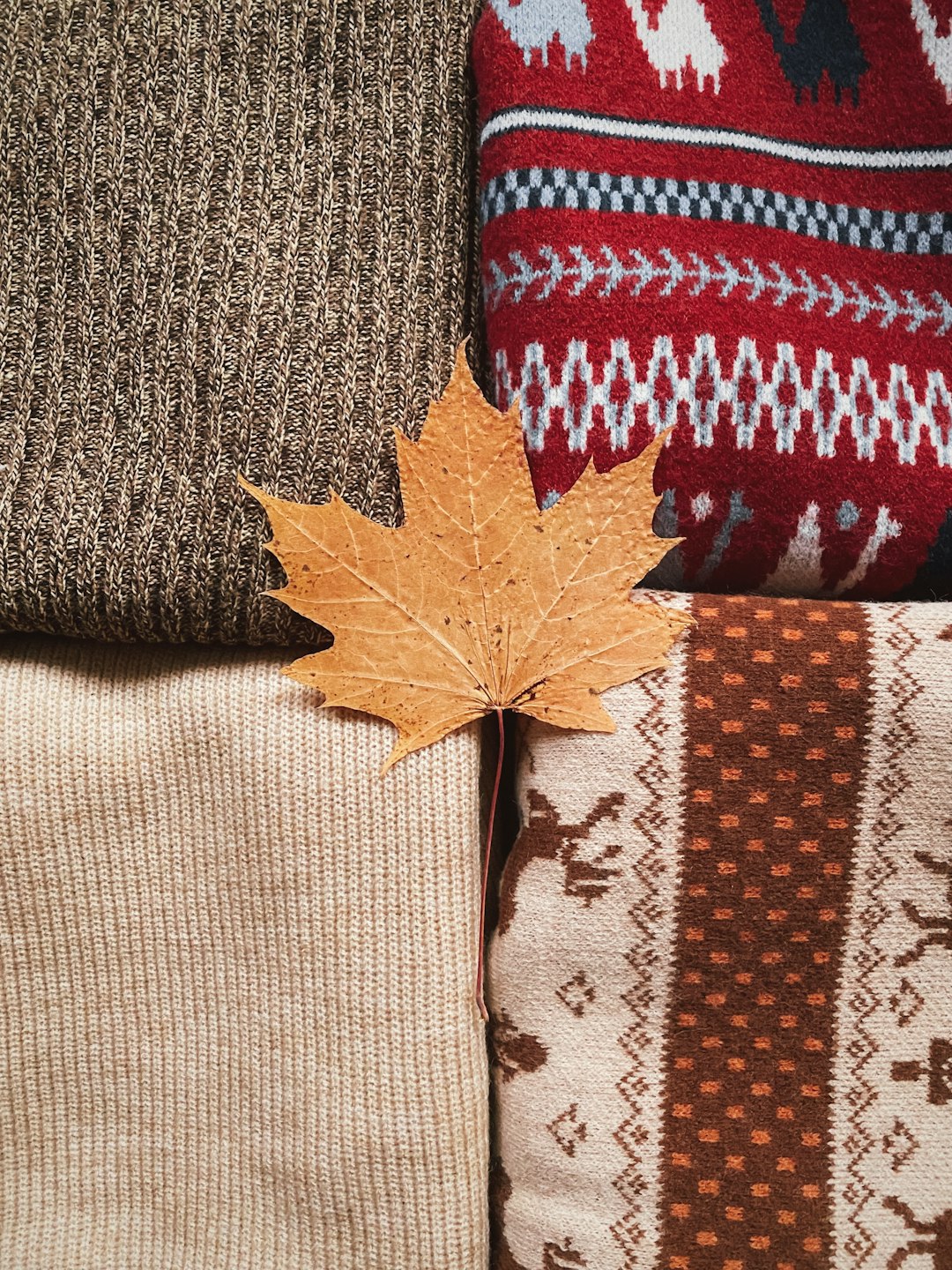 Seasonal Fashion Picks: What to Wear This Fall and Why | QuickAdvisr