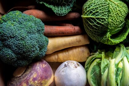 7 Foods That Naturally Boost Your Immune System in Under a Week