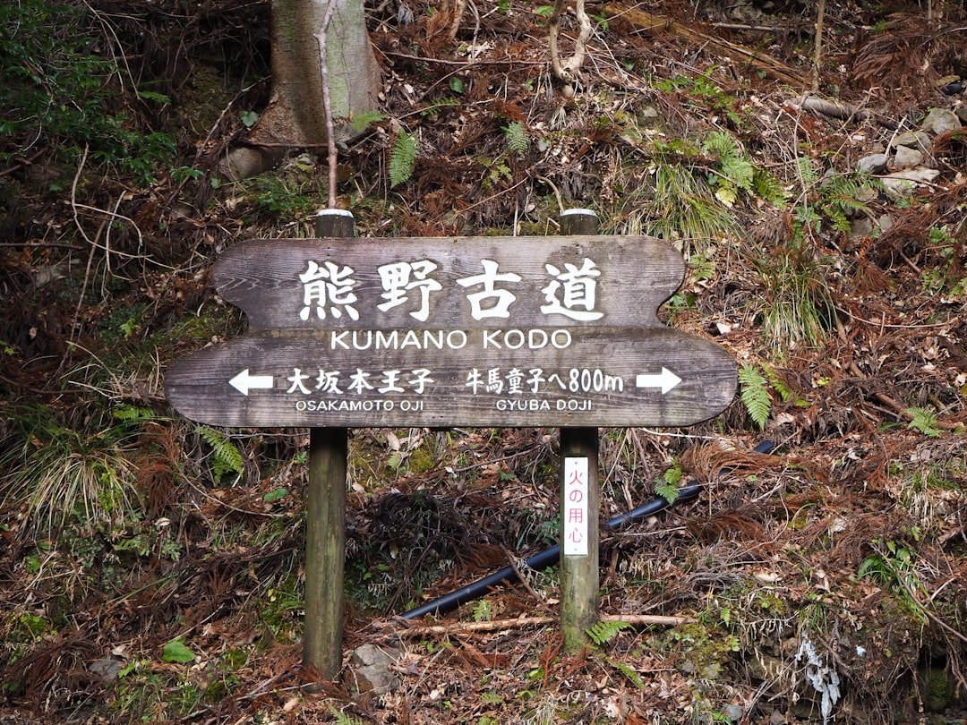 How Many Calories Are Burned Hiking Popular Trails Like Machu Picchu?