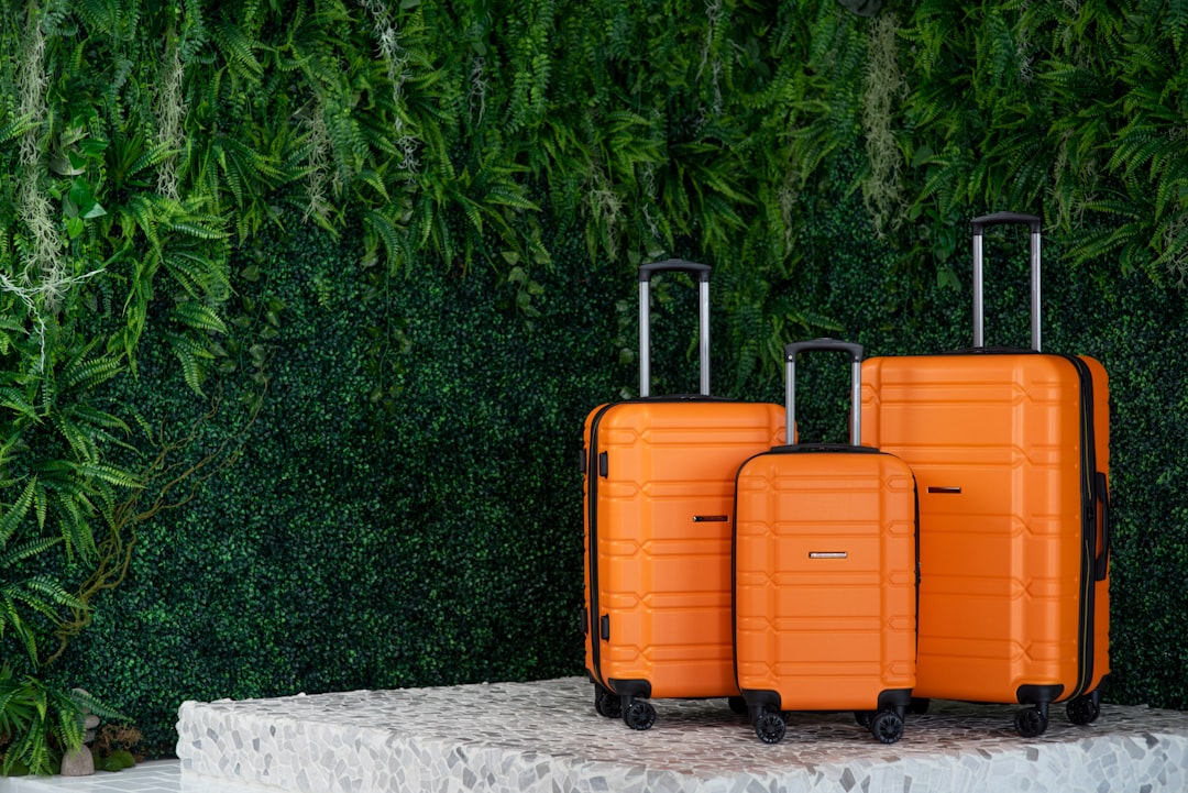 8 Eco-Friendly Travel Products That Actually Save You Money
