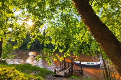 Seasonal Transition Guide: 6 Key Pieces to Bridge Summer to Fall