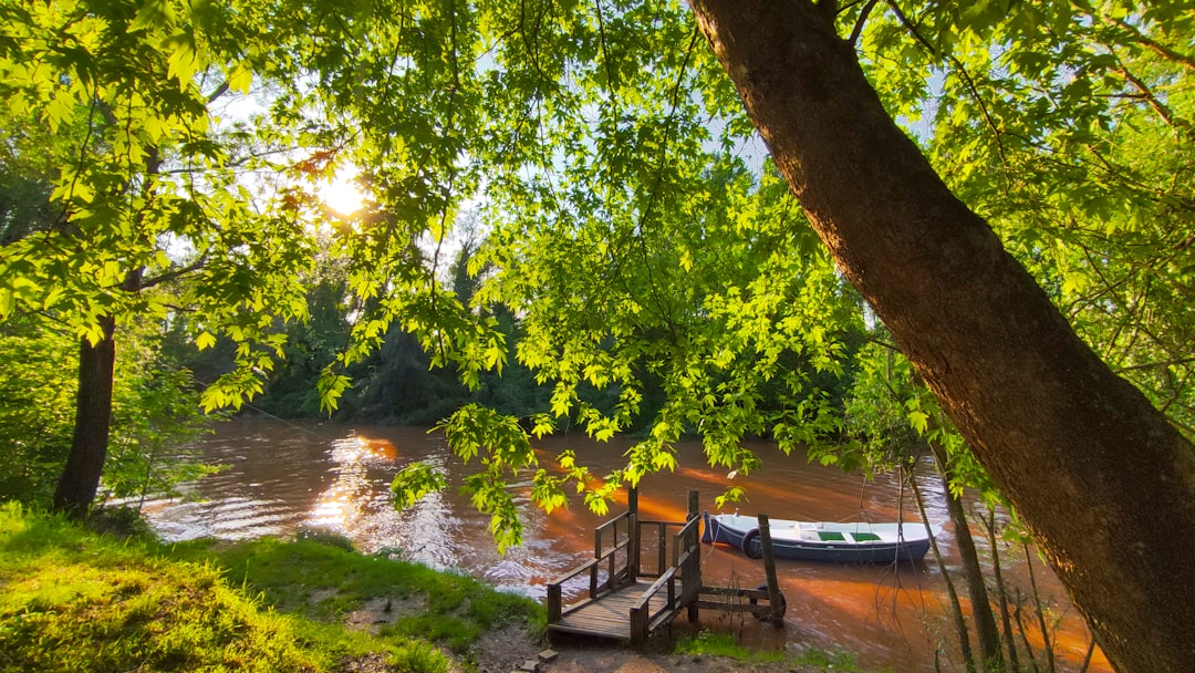 Seasonal Transition Guide: 6 Key Pieces to Bridge Summer to Fall