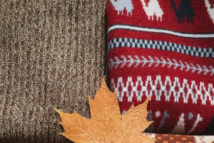 Seasonal Fashion Picks: What to Wear This Fall and Why | QuickAdvisr